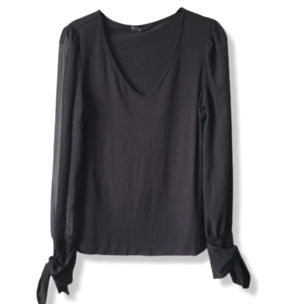 BLACK V-Neck Long Sheer Sleeve Blouse